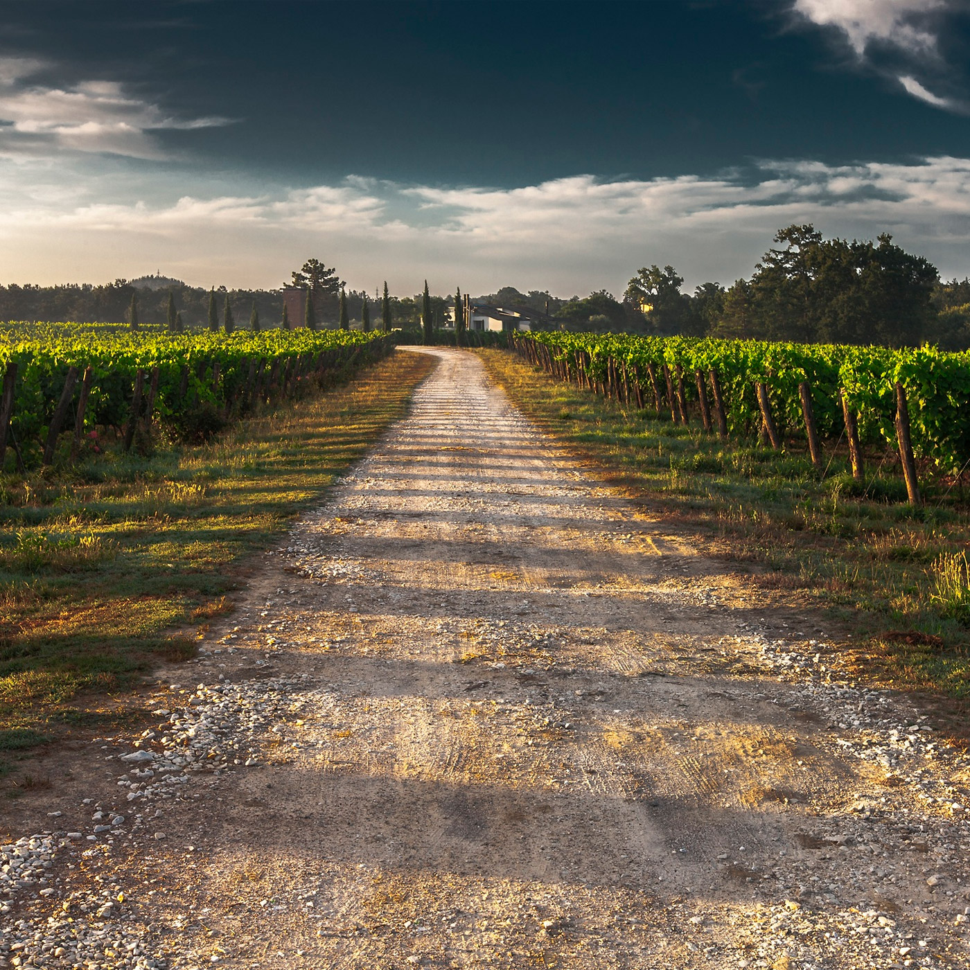 chianti-tour-with-driver-italy